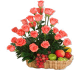 Pink Roses